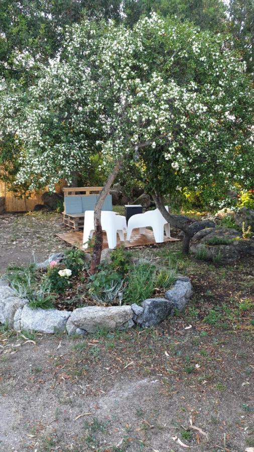 Casa Vacanze Olbia - Alebea - Eksteriør billede