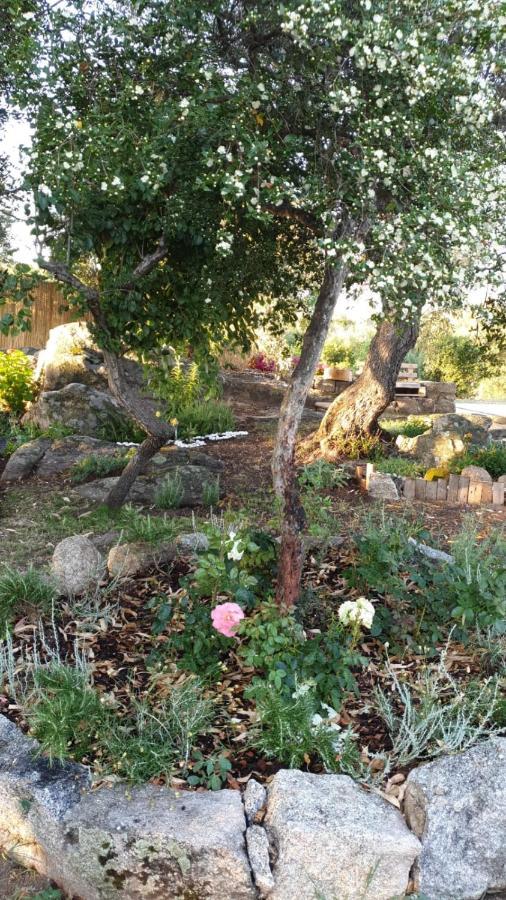 Casa Vacanze Olbia - Alebea - Eksteriør billede