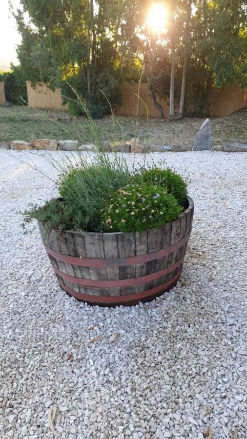 Casa Vacanze Olbia - Alebea - Eksteriør billede